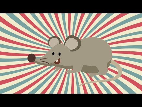 susanita-tiene-un-raton
